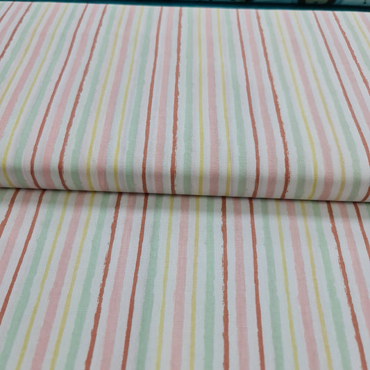 Bichinhos Silvestres Rayas Rosas