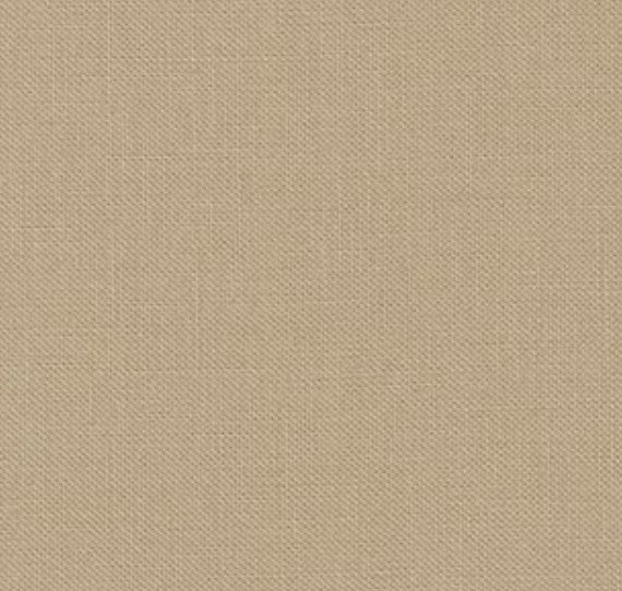 Algodones lisos 100% kona Robert kaufman