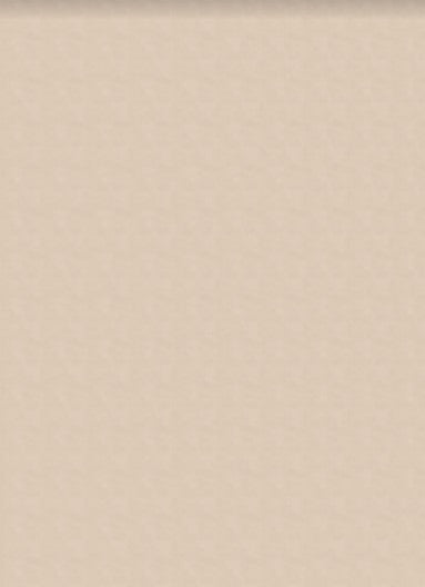 Allover LBN 24 beige