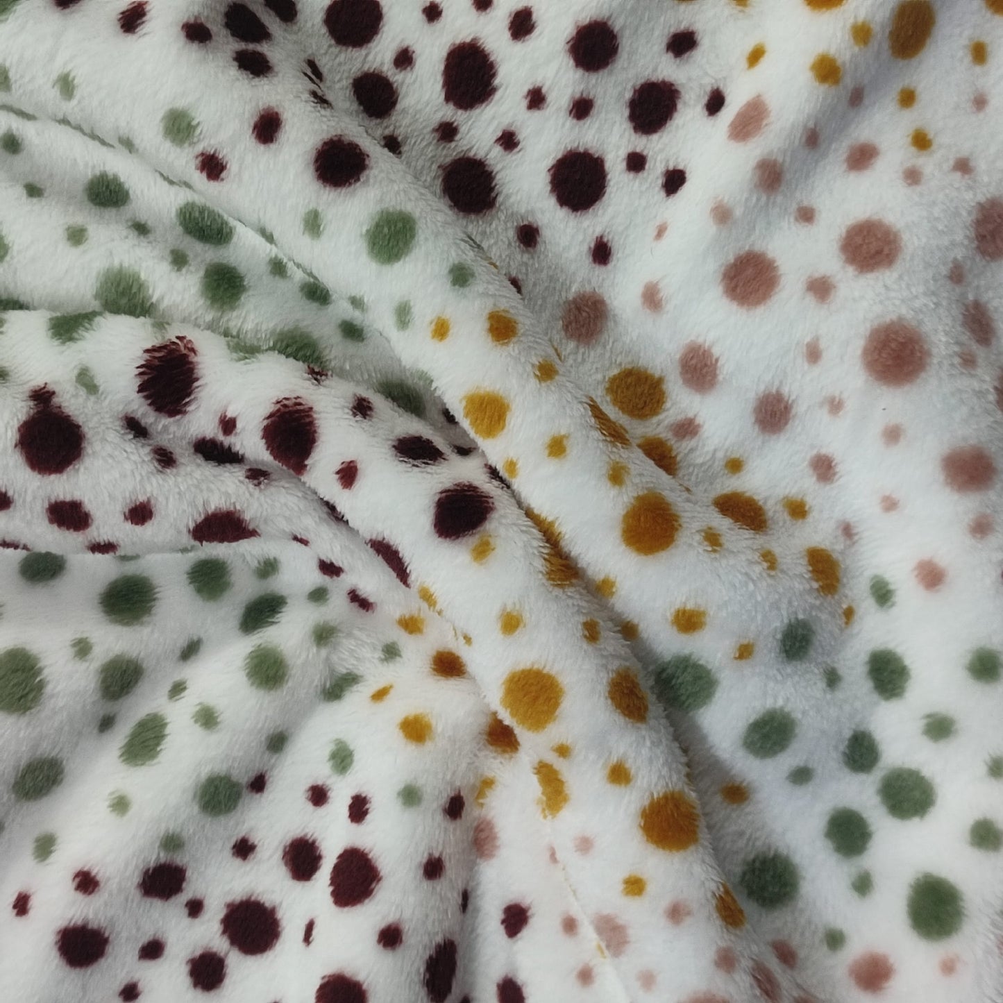 Coralina con puntos de colores sobre fondo blanco