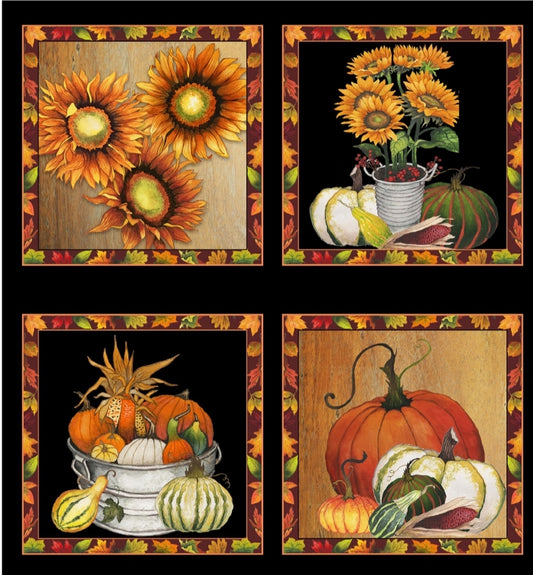 Bloque Calabazas y girasoles