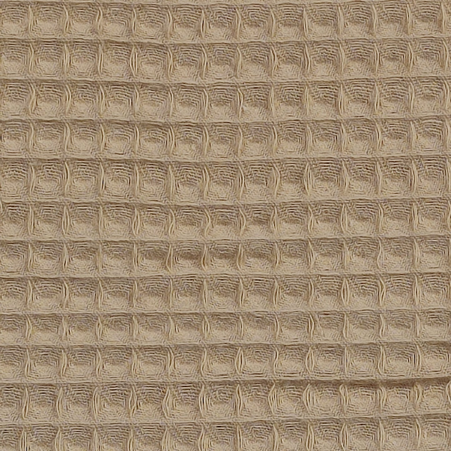 Wafle Mostaza
