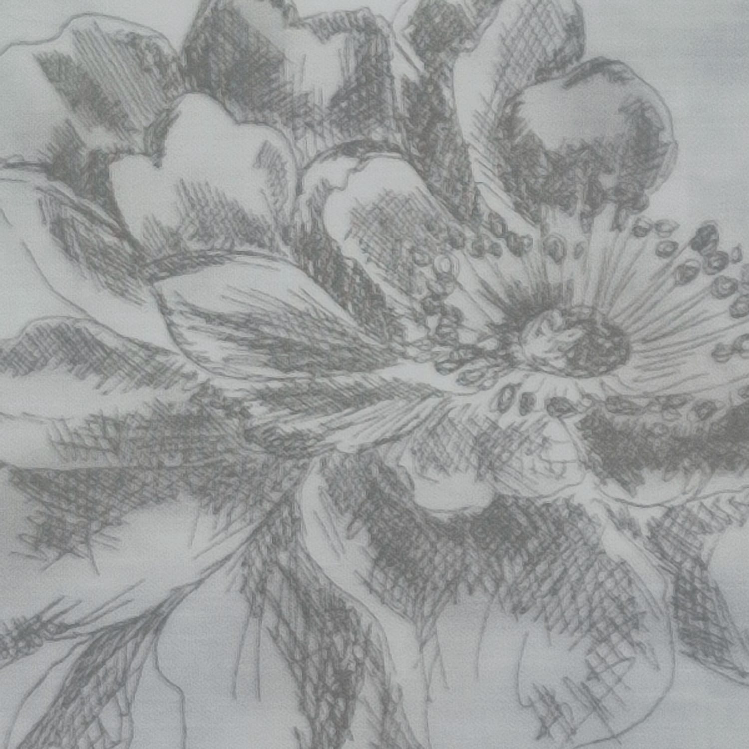 Rosas fondo blanco C120